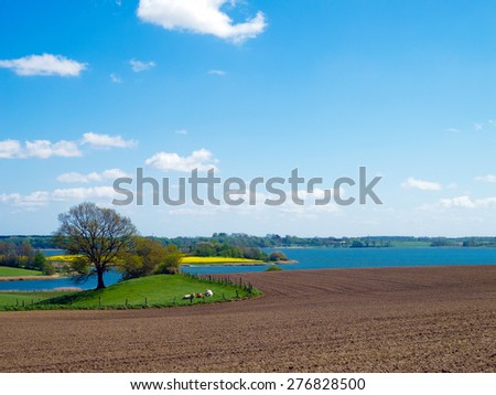 countryside scenery with plowed field, cows and lake