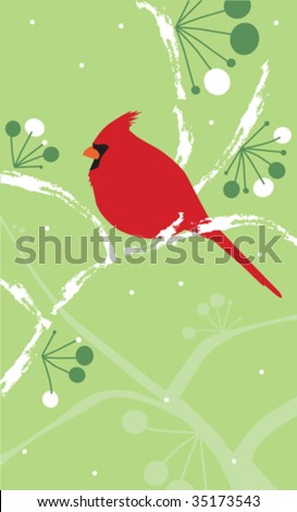 Cardinal Illustration