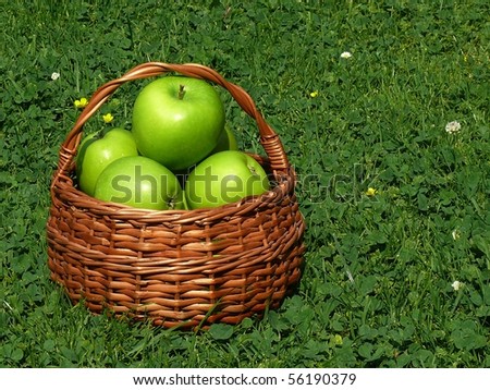 Green Apple Granny Smith