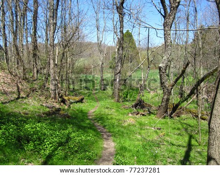 Appalachian Trail in Virginia