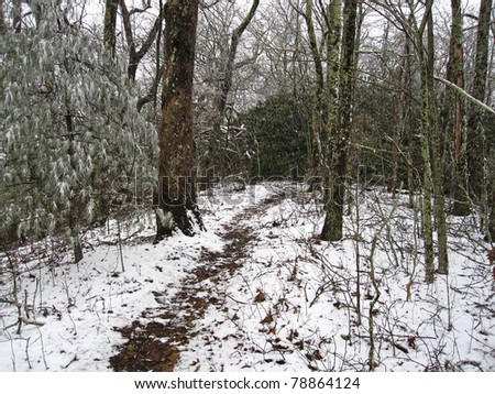 Appalachian Trail in North Carolina