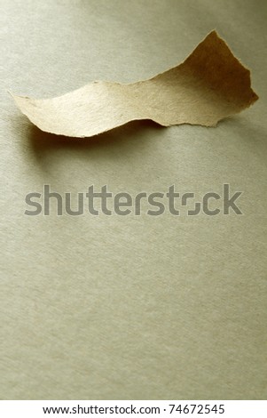 A ripped piece of paper on a grunge paper background