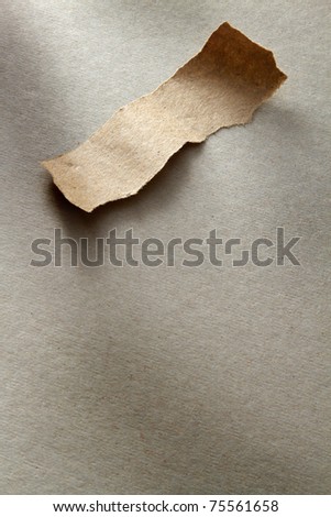 A ripped piece of paper on a grunge paper background