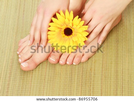 Young woman touching her legs with yellow gerbera isolated on white background