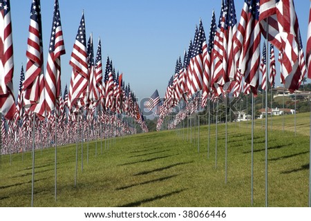 Thousands of US flags are arranged on a field of grass under a blue sky.