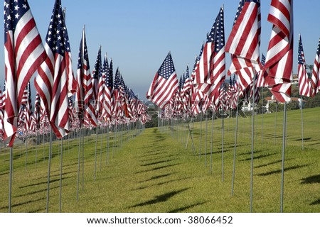 Hundreds of US flags stuck in a field of green grass under a blue sky.