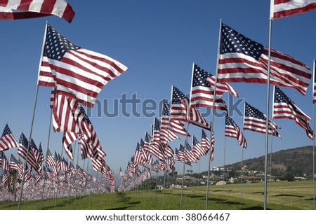 Several rows of US flags against a blue sky.