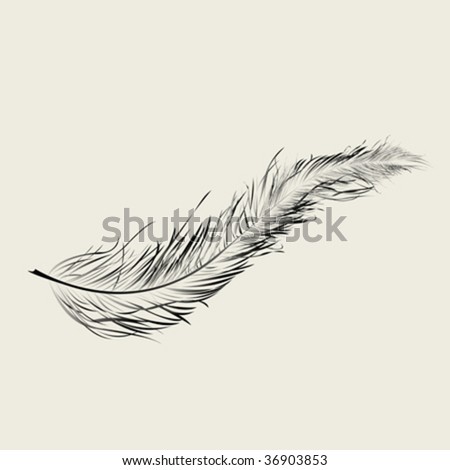 Graphic Feather, Vector Art Illustration - 36903853 : Shutterstock