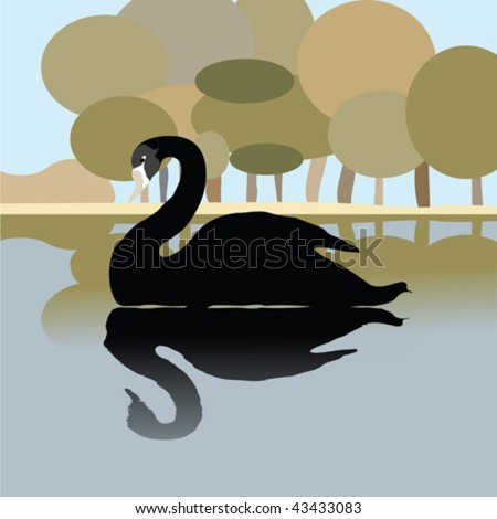 Black Swan Illustration. stock vector : Black swan on a