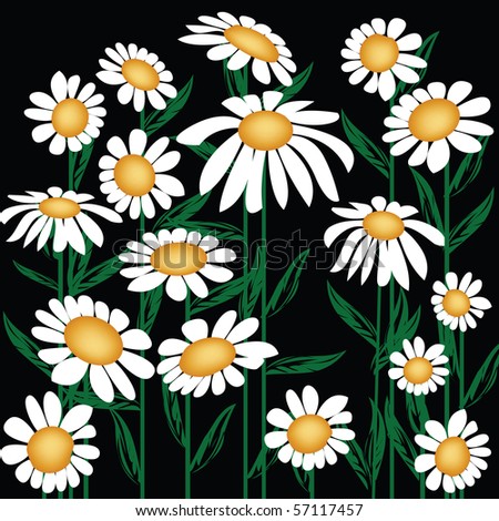 Daisies+background