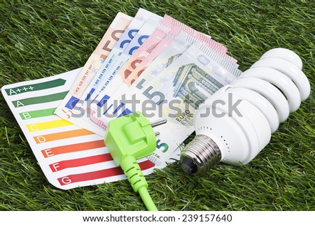 Image shows a energy saving lamp with power cord and money on a green gras