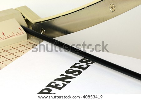 Paper cutter with printed page expenses