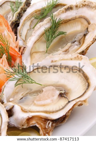 plate of oyster and shrimp