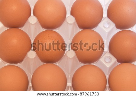 one dozen fresh brown eggs in plastic tray