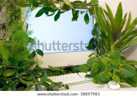 Many plants and computer with blank screen, where you can put your image