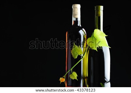 Two bottles wine twined by grapevine on black background