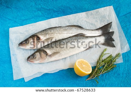 Fish Similar  Bass on Bass Fish Fillets Fresh Fishes With Lemon Find Similar Images