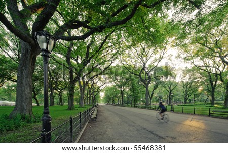 A bicyclist in Central Park (The Mall) in the morning.