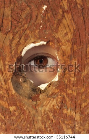 looking through the hole in the fence