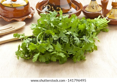 Fresh bunch of coriander on the table