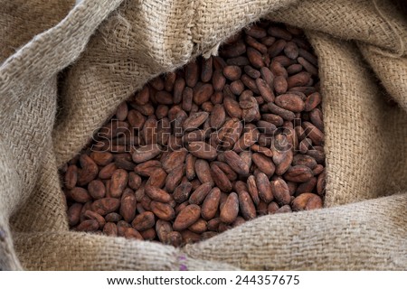 Jute bag full with cocoa beans