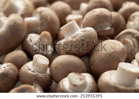 Fresh chestnut mushrooms full frame