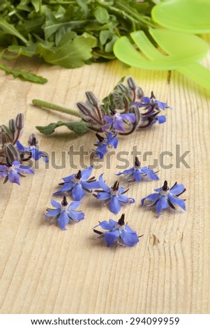Fresh blue borage flowers to decorate the salad