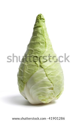 Hispi Cabbage