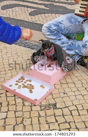 Young beggar musician with small cute dog play accordion and ask for money on street of Lisbon, Portugal on November, 2013.