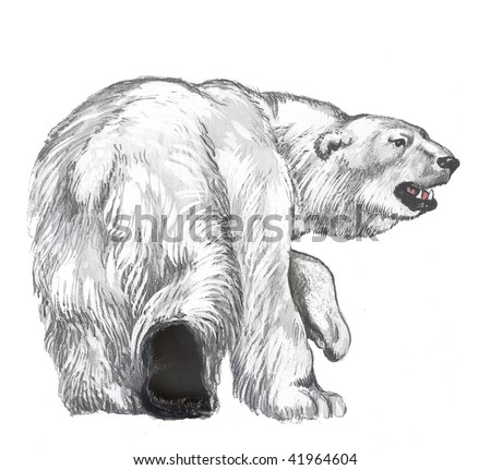 Polar bear. Sergey Mikhaylov