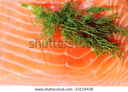 Piece of raw salmon with dill sprig