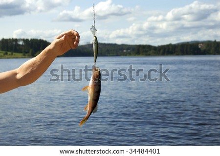 Caught fish at sea