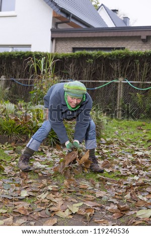 woman working in autumn garden . cleaning the garden from foliage, autumn leaves.