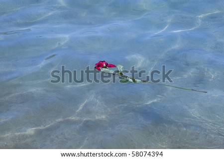 Lost Love: red rose in deep blue water (ocean).
