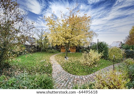 (wild)-garden path with natural stone. HDR Image taken with a super wide-angle lens.