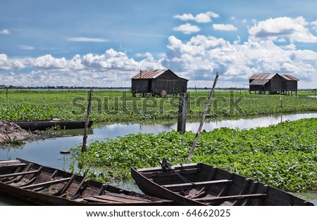Floating gardens with wooden stilt houses and boats at  the Tonle Sap lake in Cambodia. The Tonle Sap is the largest freshwater lake in South East Asia .