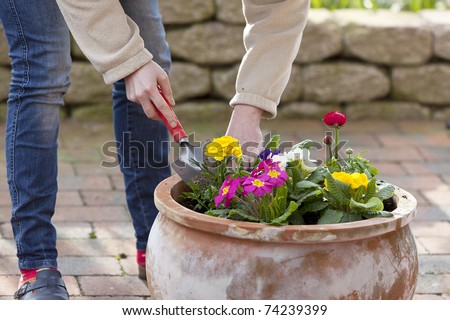 woman preparing flowers for planting in a terracotta flowerpot.