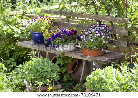 wooden bench  with flower pots in a wild garden.