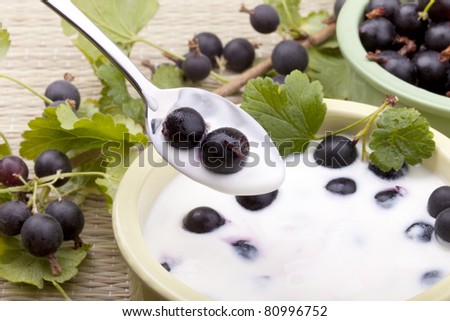studio-shot of a healthy dessert with jostaberries and plain yogurt. Jostaberry is a cross between the blackcurrant and the gooseberry