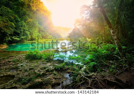 Sunny Morning In The Mountainous Jungle Of The National Park Semuc Champey. Guatemala.