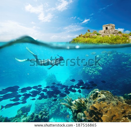 Beautiful coral reef Caribbean sea with lots of fish and a woman on the background of the ancient Mayan city of Tulum. Mexico