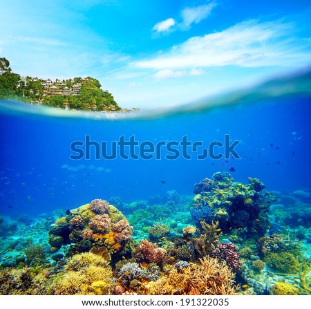 Underwater scene near the island of Boracay. Coral reef, colorful fish and sunny sky shining through clean ocean water. Space underwater for you to fill or just use standalone. High res