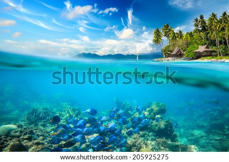 Coral reef, colorful fish and sunny sky shining through clean ocean water.. Summer holiday concept. Coral reef, colorful fish and sunny sky shining through clean ocean water.High res