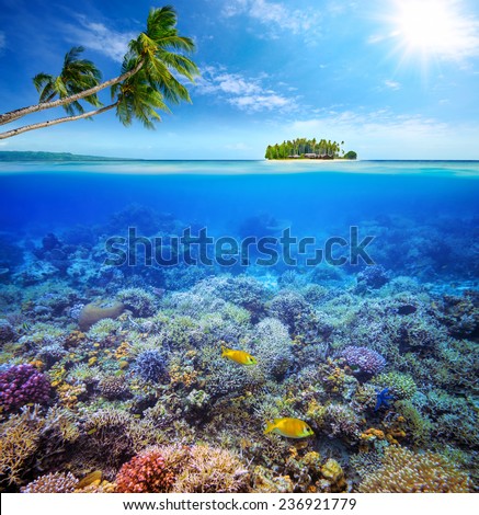 Beautiful Coral reef with fish on the background of a small island. Maldives