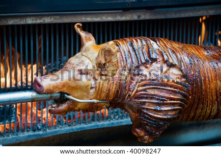 Poor Sucking Pig grilled on Fire