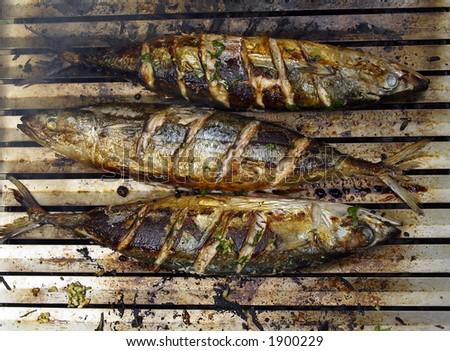fish on grill