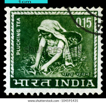 INDIA-CIRCA 1965:A stamp printed in INDIA shows image woman -  tea pickers, circa 1965.