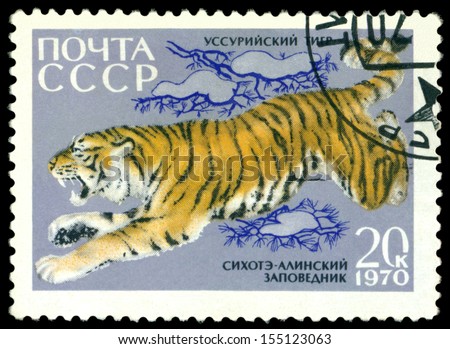 RUSSIA - CIRCA 1970: A Stamp sheet printed in Russia  shows  Ussurian Tiger ,  Animals from Sikhote-Alin Reserve, series, circa 1970