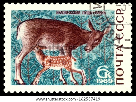 RUSSIA - CIRCA 1969: A Stamp sheet printed in Russia  shows  Doe and fawn (red deer),  Animals from  Belovezhsraya  Forest  Reserve, series, circa 1969