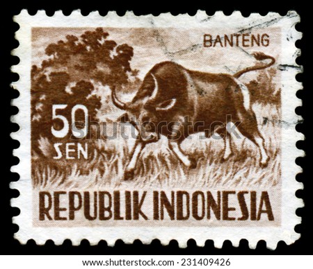 INDONESIA - CIRCA 1956: A stamp printed in  Indonesia,  shows  Banteng, series  Animals, circa 1956